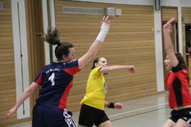 2016_01_23 Landesliga Frauen